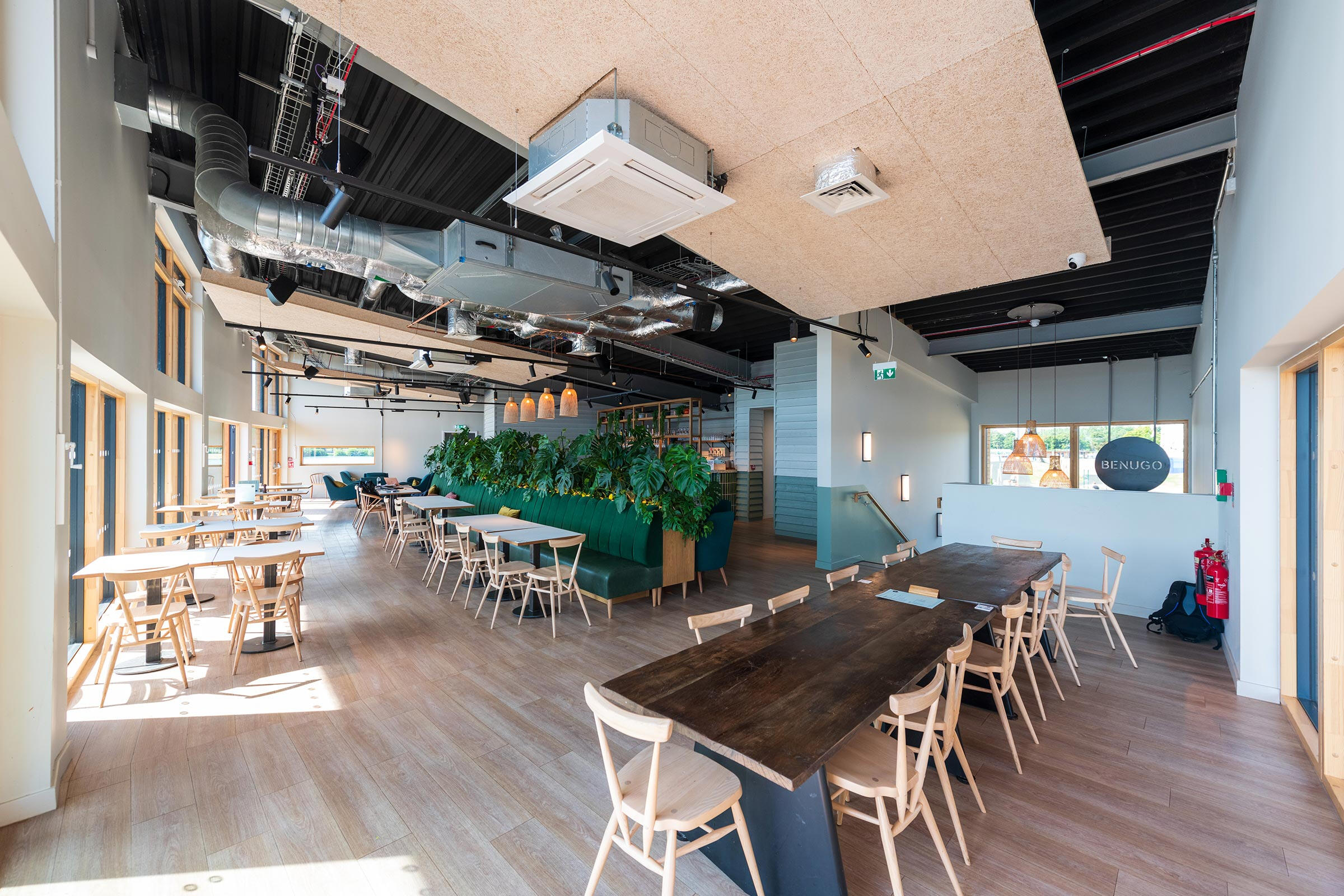 Play Chess Play Chess